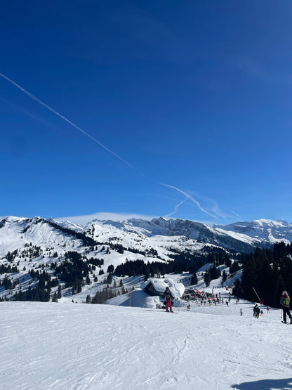 French Alps Hoodie