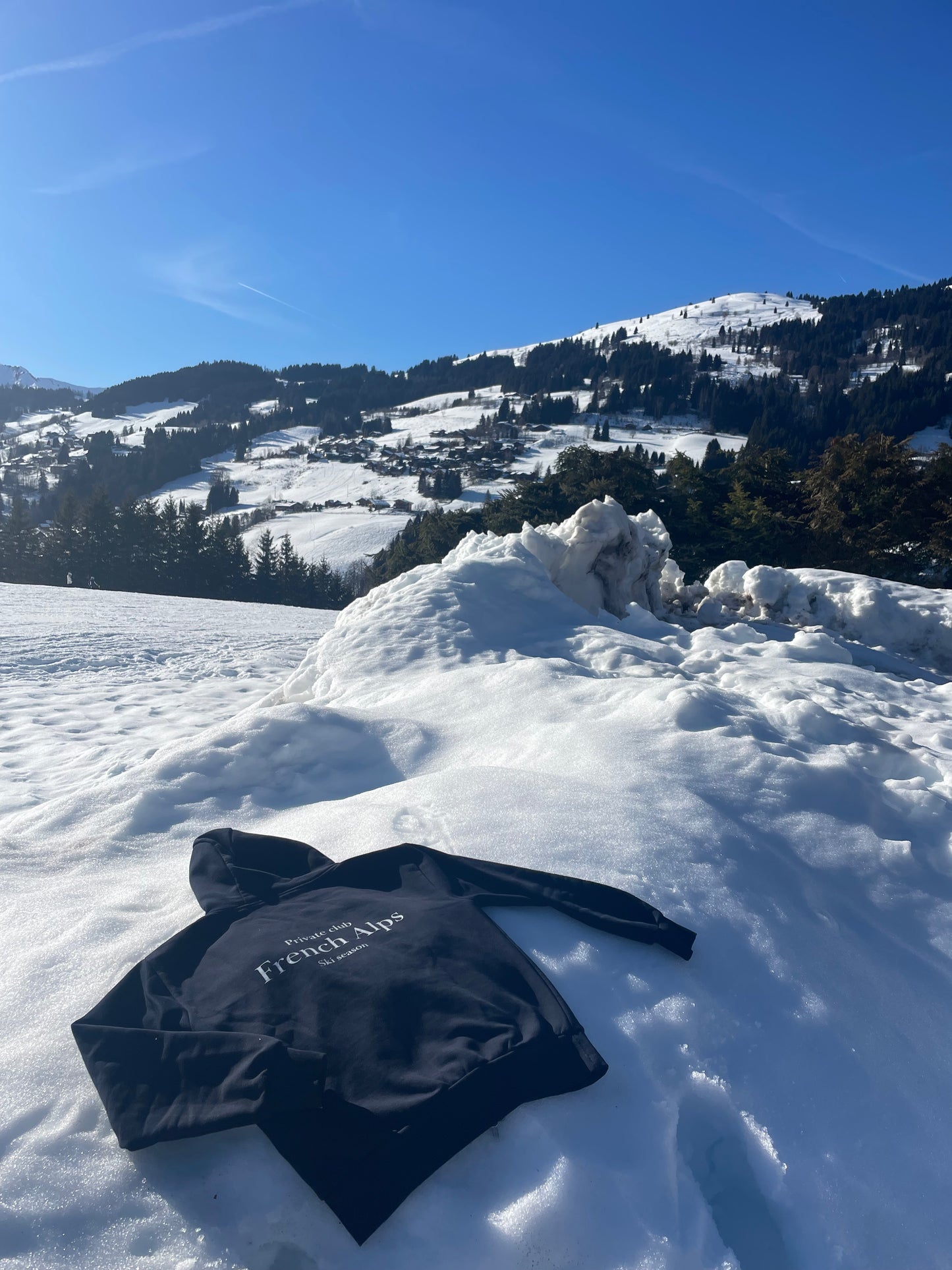 French Alps Hoodie
